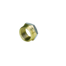 Brass Fittings of Bushing for Pex-Al-Pex Pipe Connector